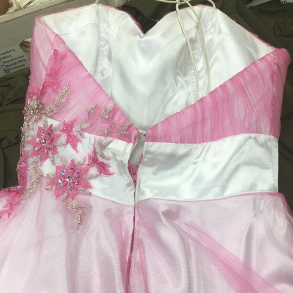 Pink Dress - Picture 3 of 4